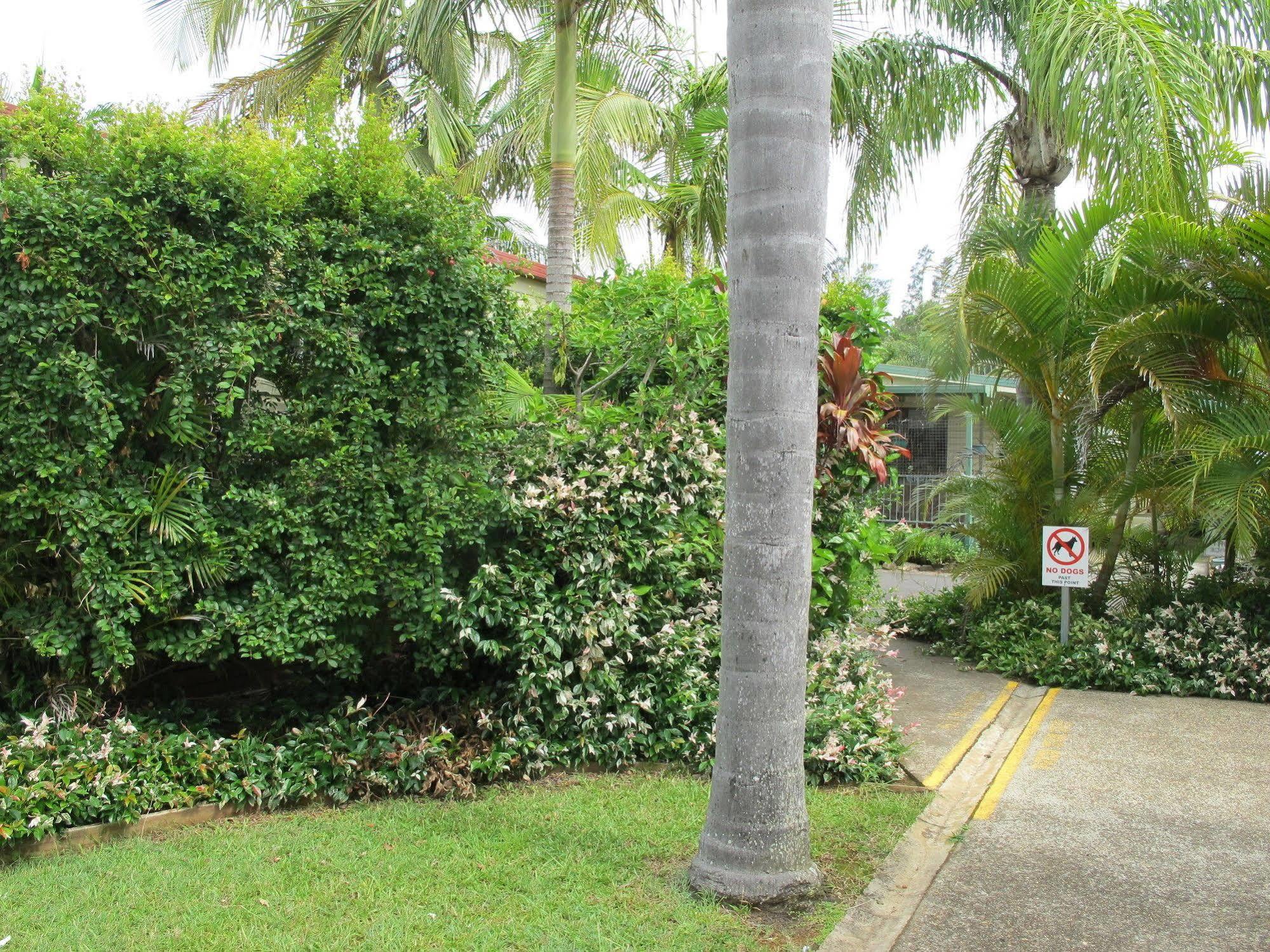 Melaleuca Caravan Park Port Macquarie Exterior foto